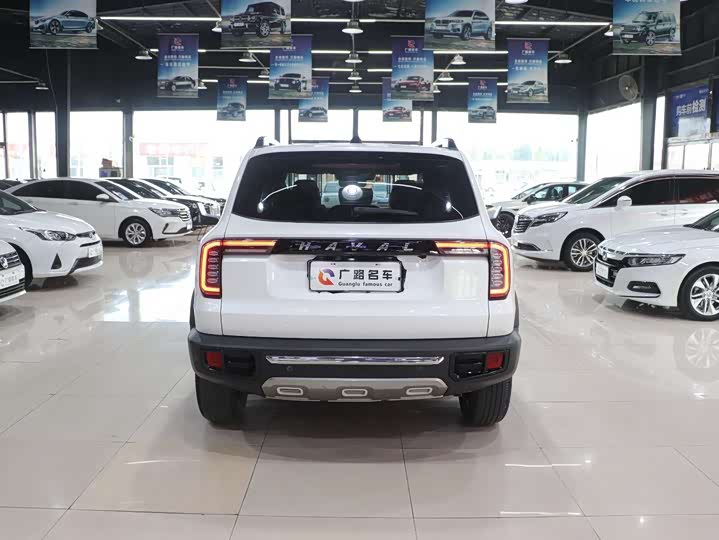 Фото 6 - Haval Dargo
