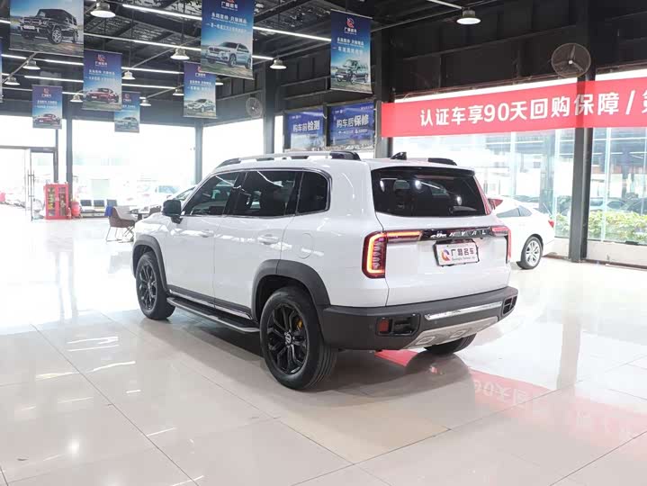 Фото 7 - Haval Dargo