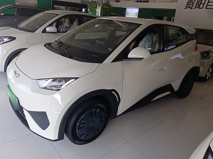 Фото 2 - BYD Seagull