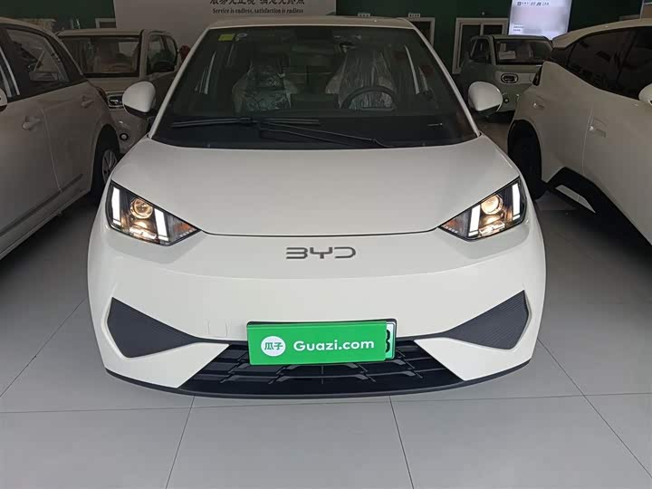 Фото 3 - BYD Seagull