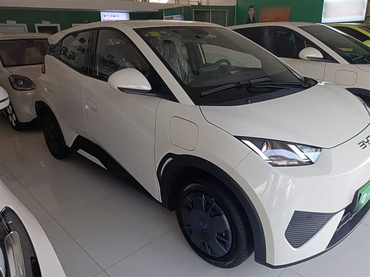 Фото 4 - BYD Seagull