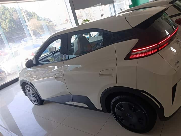 Фото 5 - BYD Seagull