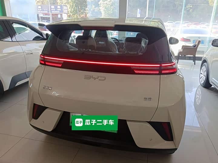 Фото 6 - BYD Seagull