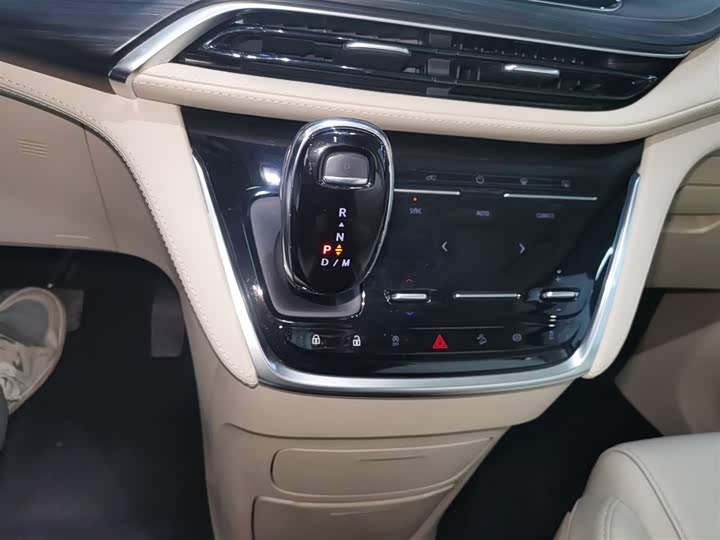 Фото 14 - Buick GL8 ES