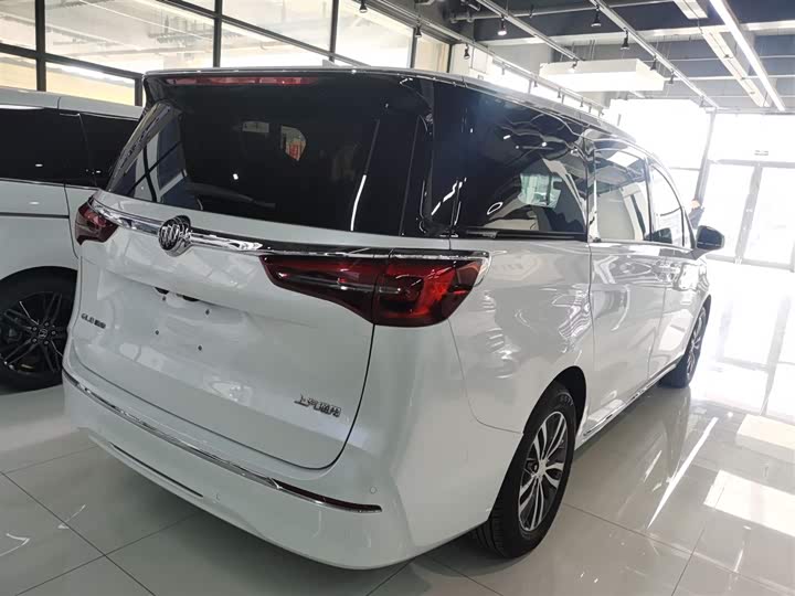 Фото 7 - Buick GL8 ES