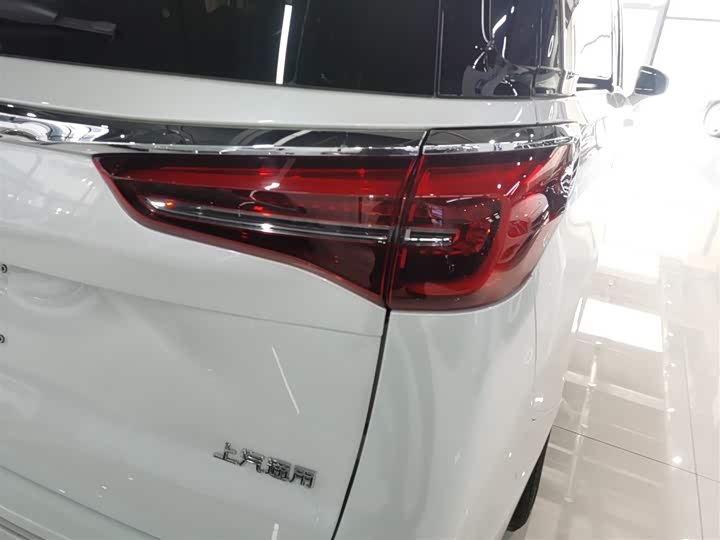 Фото 8 - Buick GL8 ES