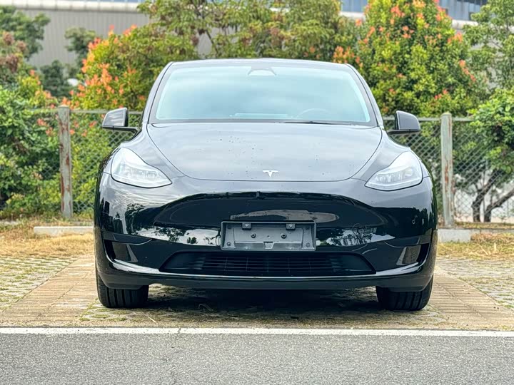 Фото 2 - Tesla Model Y