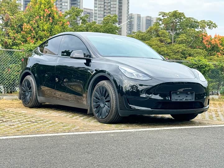 Фото 3 - Tesla Model Y