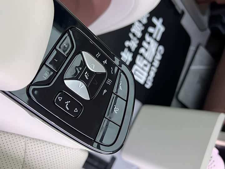 Фото 29 - BYD Xia