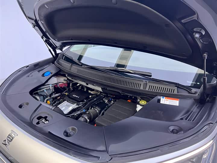 Фото 30 - BYD Xia