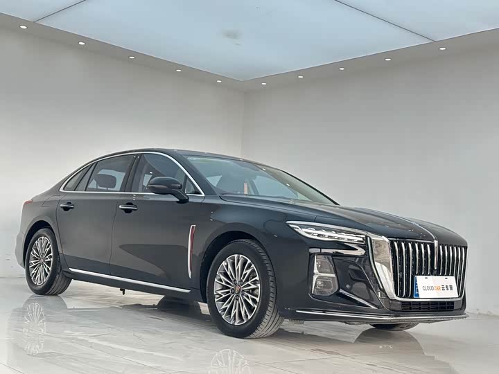 Фото 3 - Hongqi H5