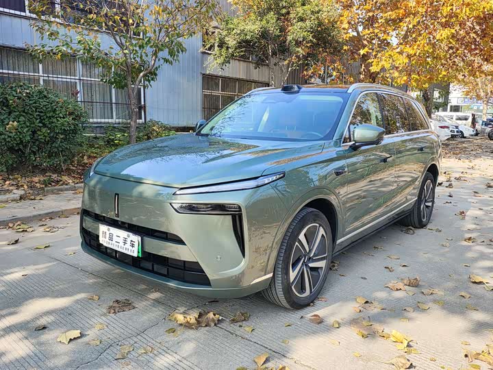 Фото 1 - Wey Lanshan