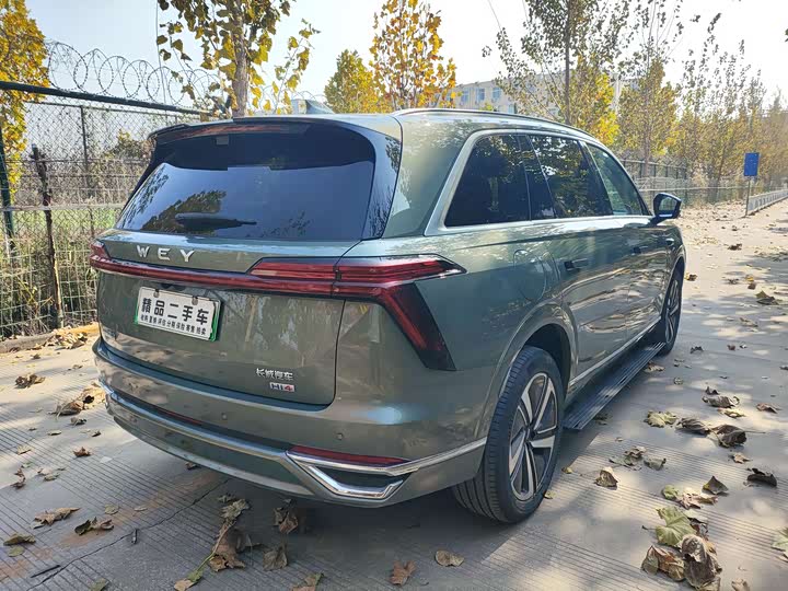 Фото 5 - Wey Lanshan