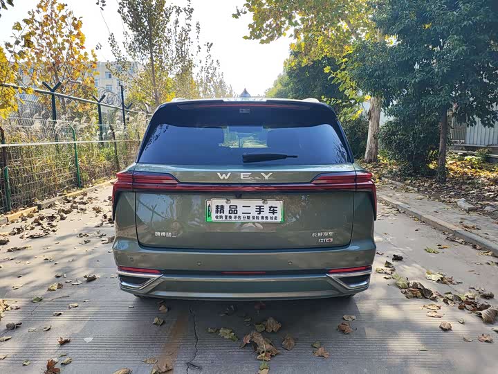 Фото 8 - Wey Lanshan