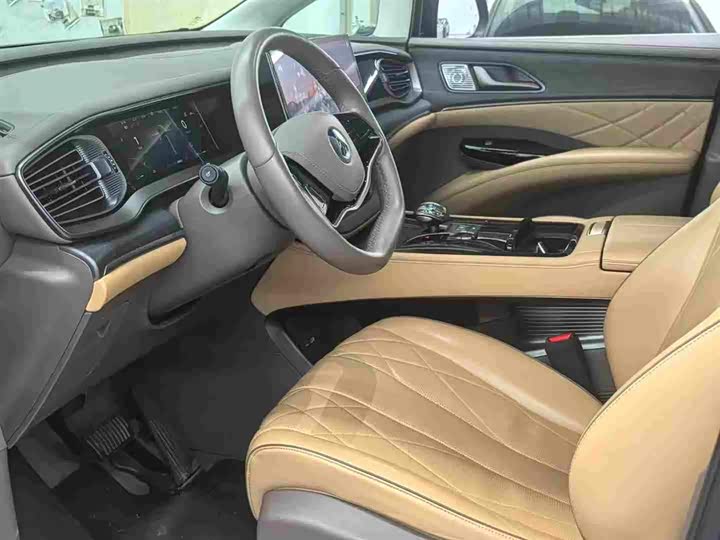 Фото 2 - Denza D9