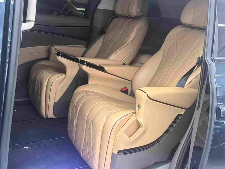 Фото 3 - Denza D9