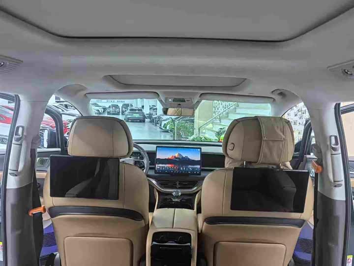 Фото 4 - Denza D9