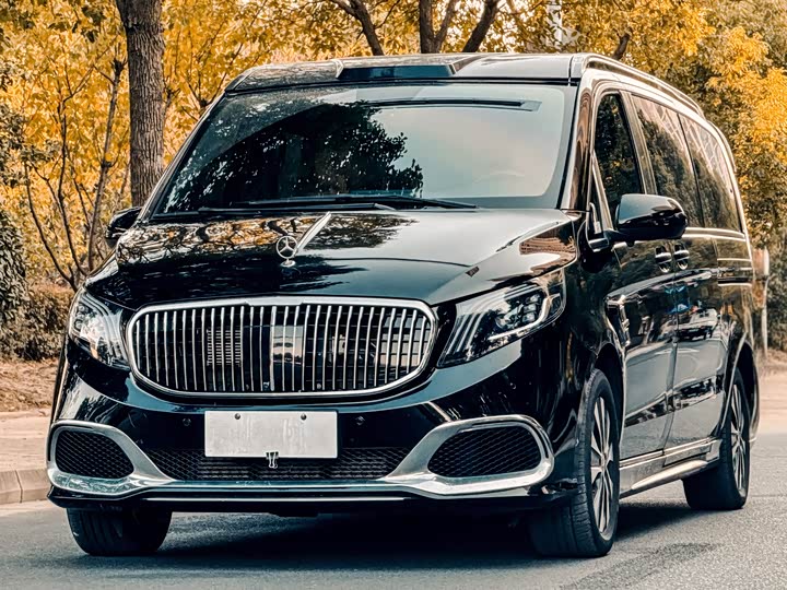 Фото 1 - Mercedes-Benz Vito