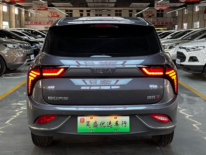 Фото 6 - Hozon V