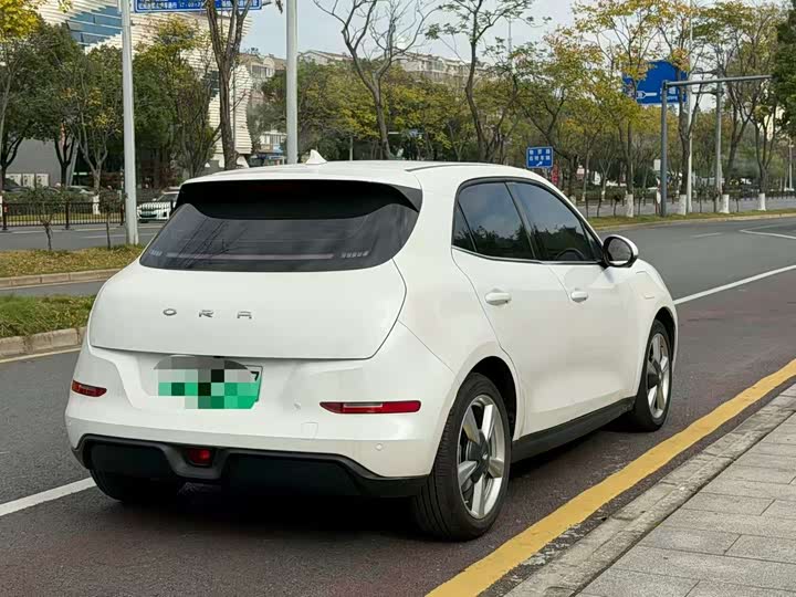 Фото 9 - Ora Good Cat (03)