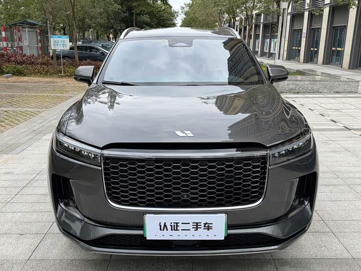 Фото 2 - LiXiang One