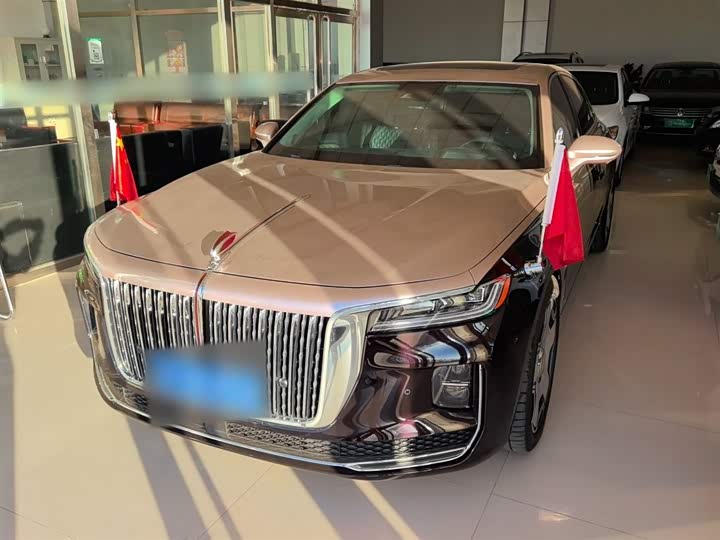 Фото 2 - Hongqi H9