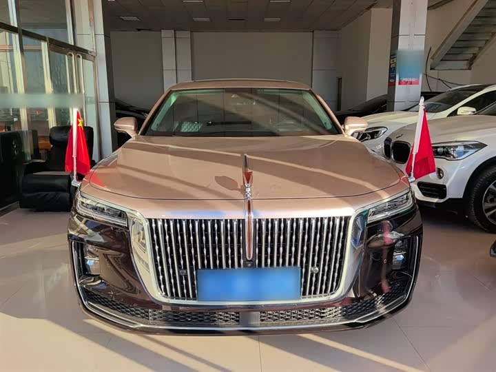 Фото 3 - Hongqi H9