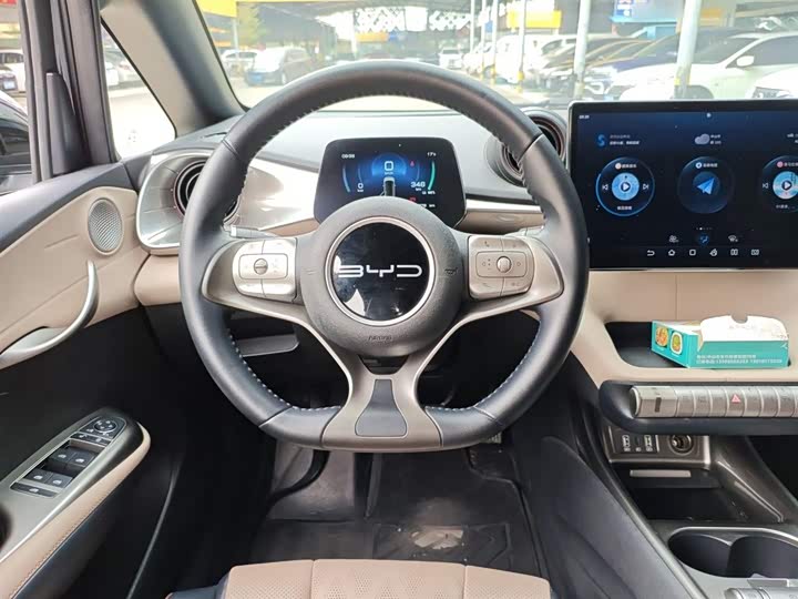 Фото 11 - BYD Dolphin