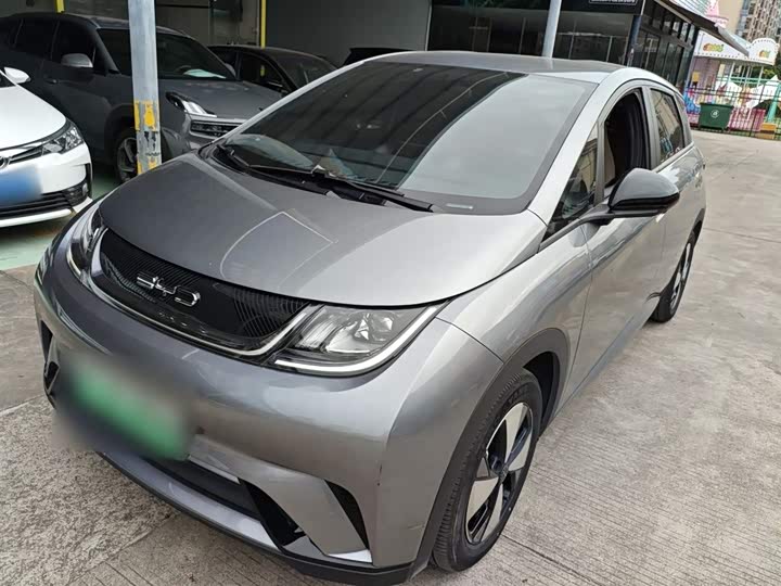 Фото 2 - BYD Dolphin