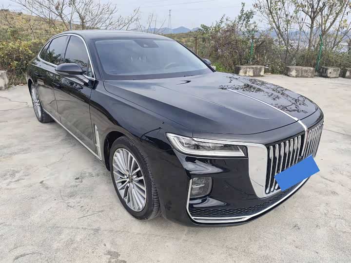 Фото 3 - Hongqi H9