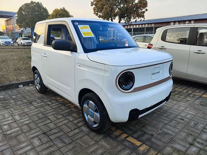 Фото 3 - Geely Galaxy Panda Mini