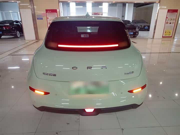 Фото 6 - Ora Good Cat (03)