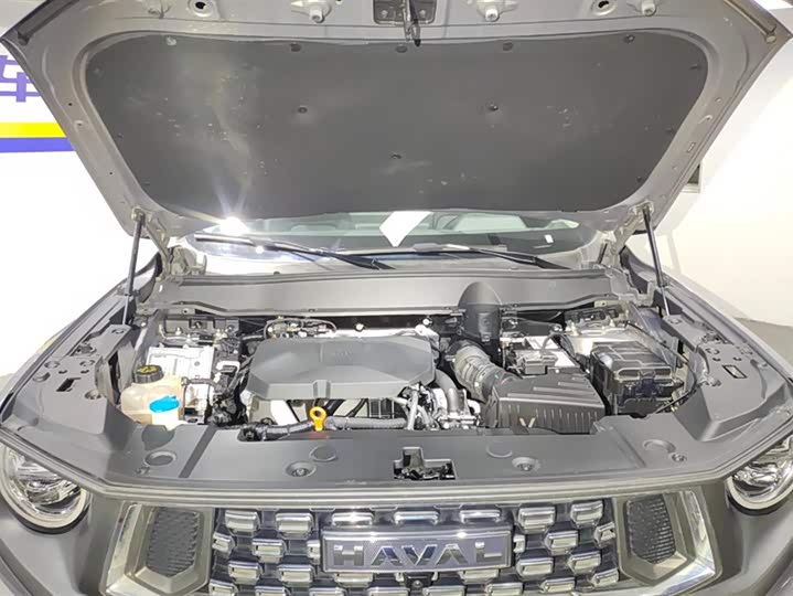 Фото 10 - Haval H-Dog