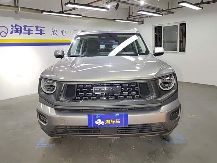 Фото 2 - Haval H-Dog