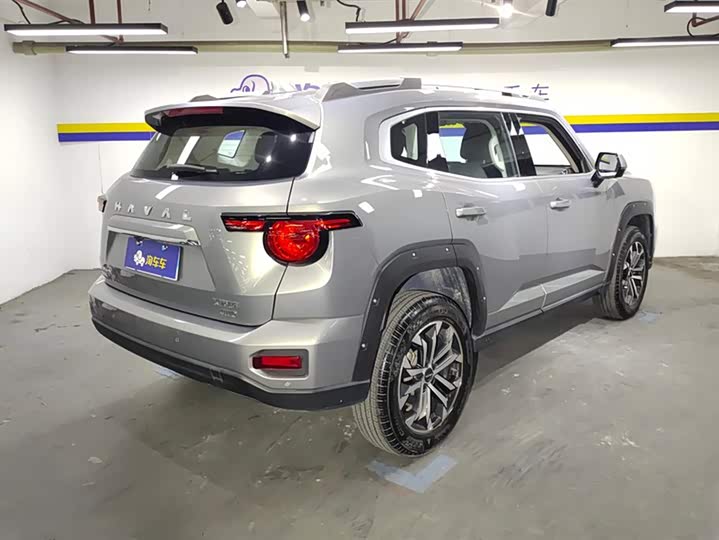 Фото 3 - Haval H-Dog