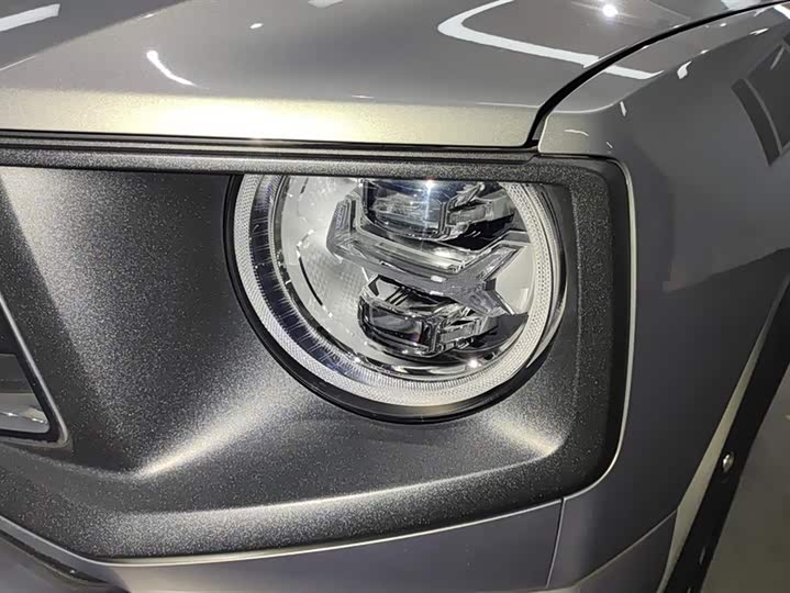 Фото 5 - Haval H-Dog