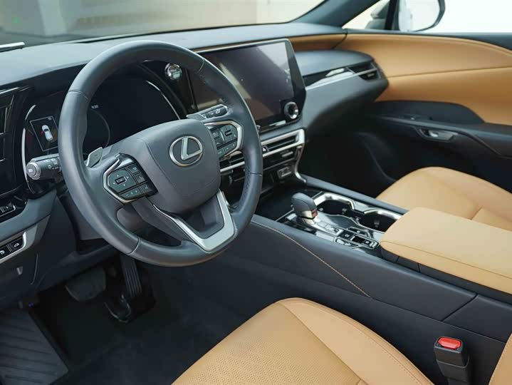 Фото 10 - Lexus RX