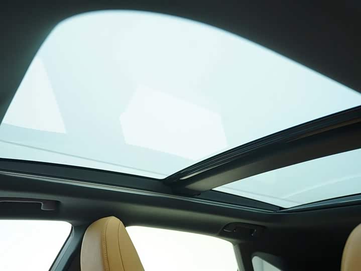 Фото 12 - Lexus RX