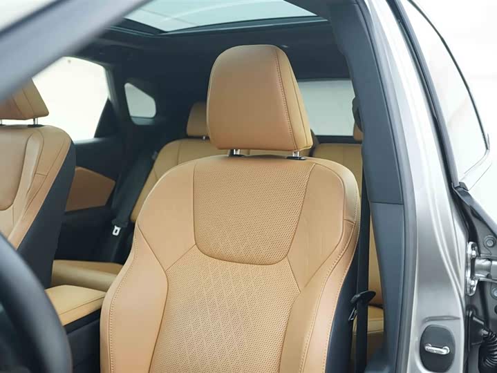 Фото 13 - Lexus RX