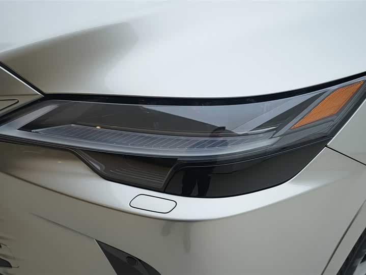 Фото 14 - Lexus RX