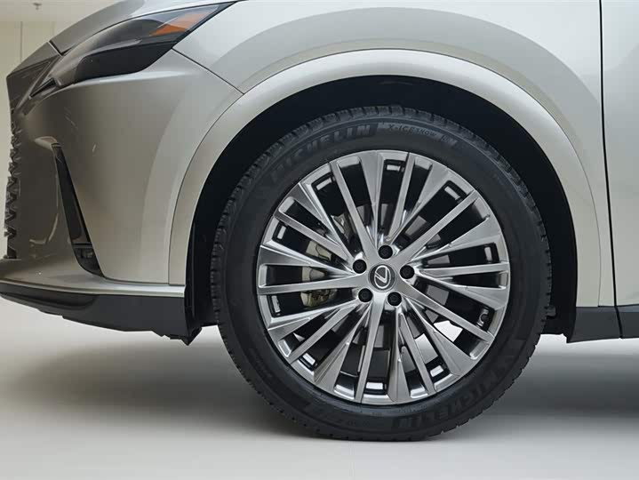 Фото 15 - Lexus RX