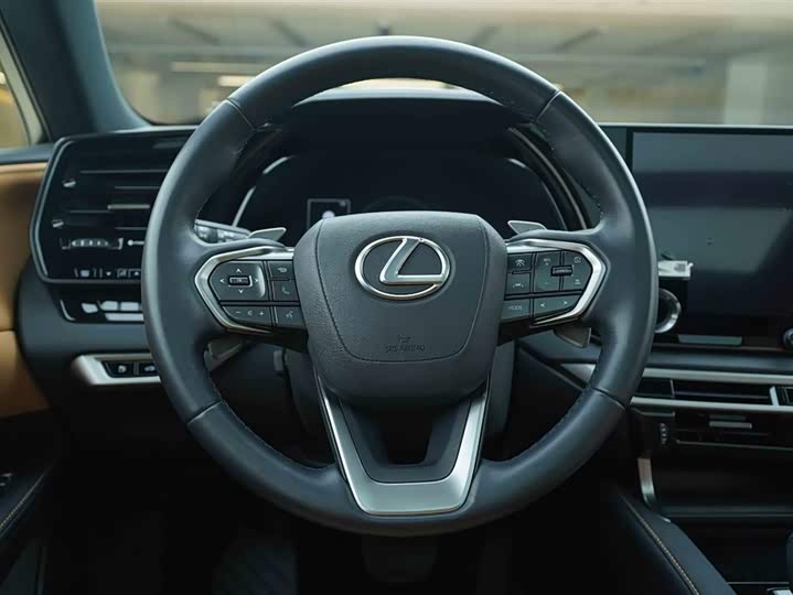 Фото 18 - Lexus RX