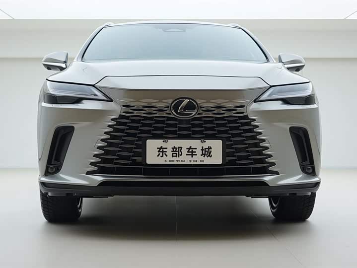 Фото 2 - Lexus RX