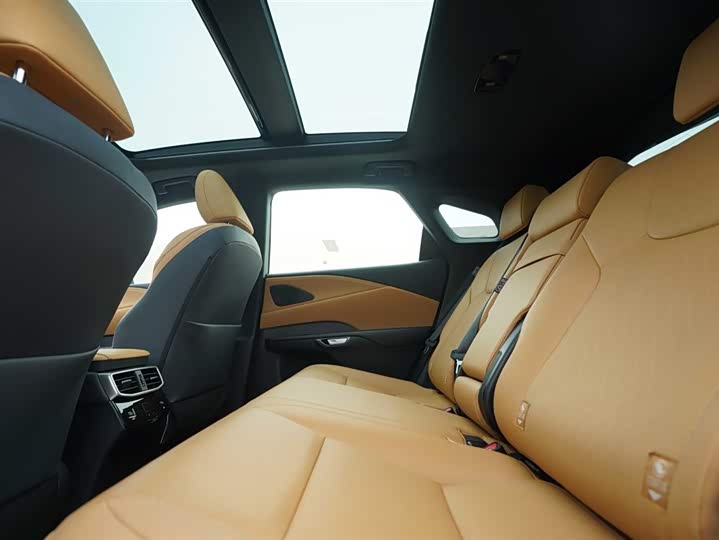 Фото 21 - Lexus RX