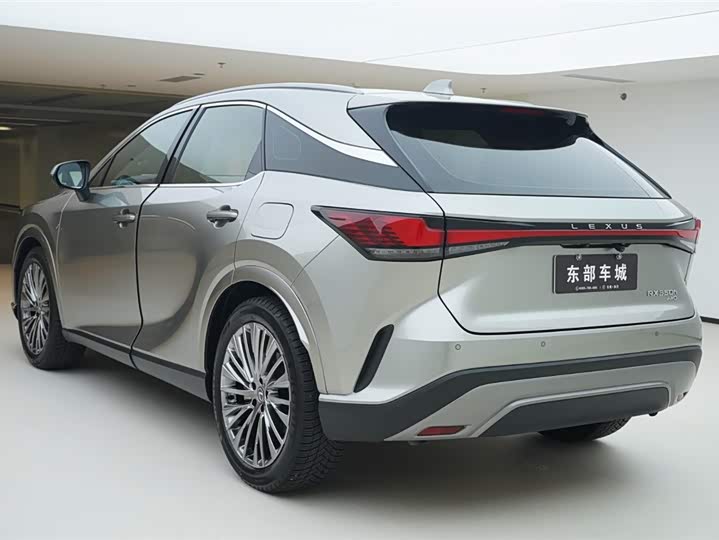 Фото 5 - Lexus RX