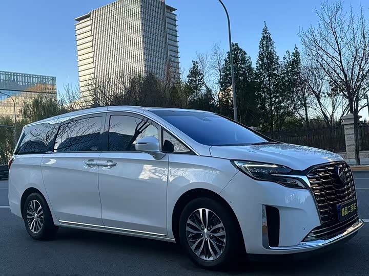 Фото 2 - Buick GL8 ES