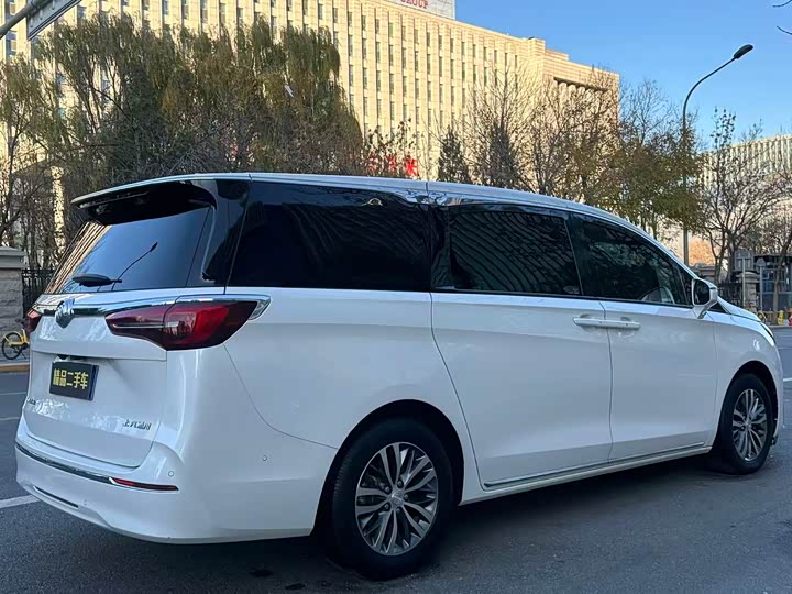 Фото 4 - Buick GL8 ES