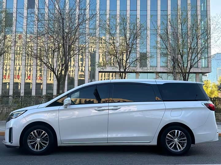 Фото 7 - Buick GL8 ES