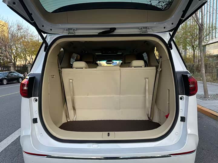 Фото 9 - Buick GL8 ES