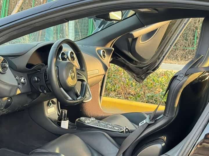 Фото 4 - McLaren GT